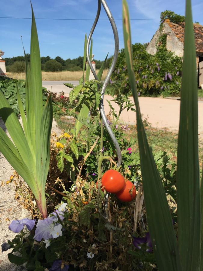 Bed and Breakfast La Ferme de la Maugerie Thoury Exterior foto